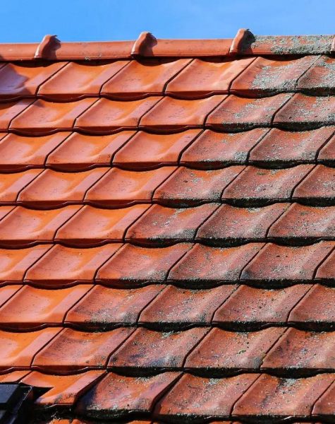 02c465c7-50a4-4de2-a35f-d438b5bf776f