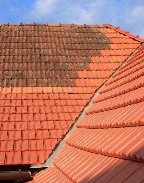 910fc265-800c-4d31-8fe9-e1ebbb800881